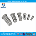 Stainless Steel Flat Head Semi-Hexagonal Blind Rivet Nuts